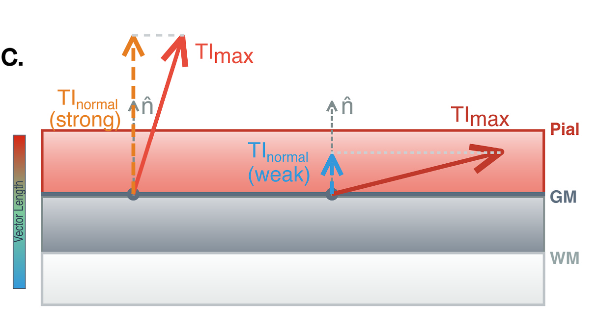 TI_normal as the projection of TI_max onto the surface normal