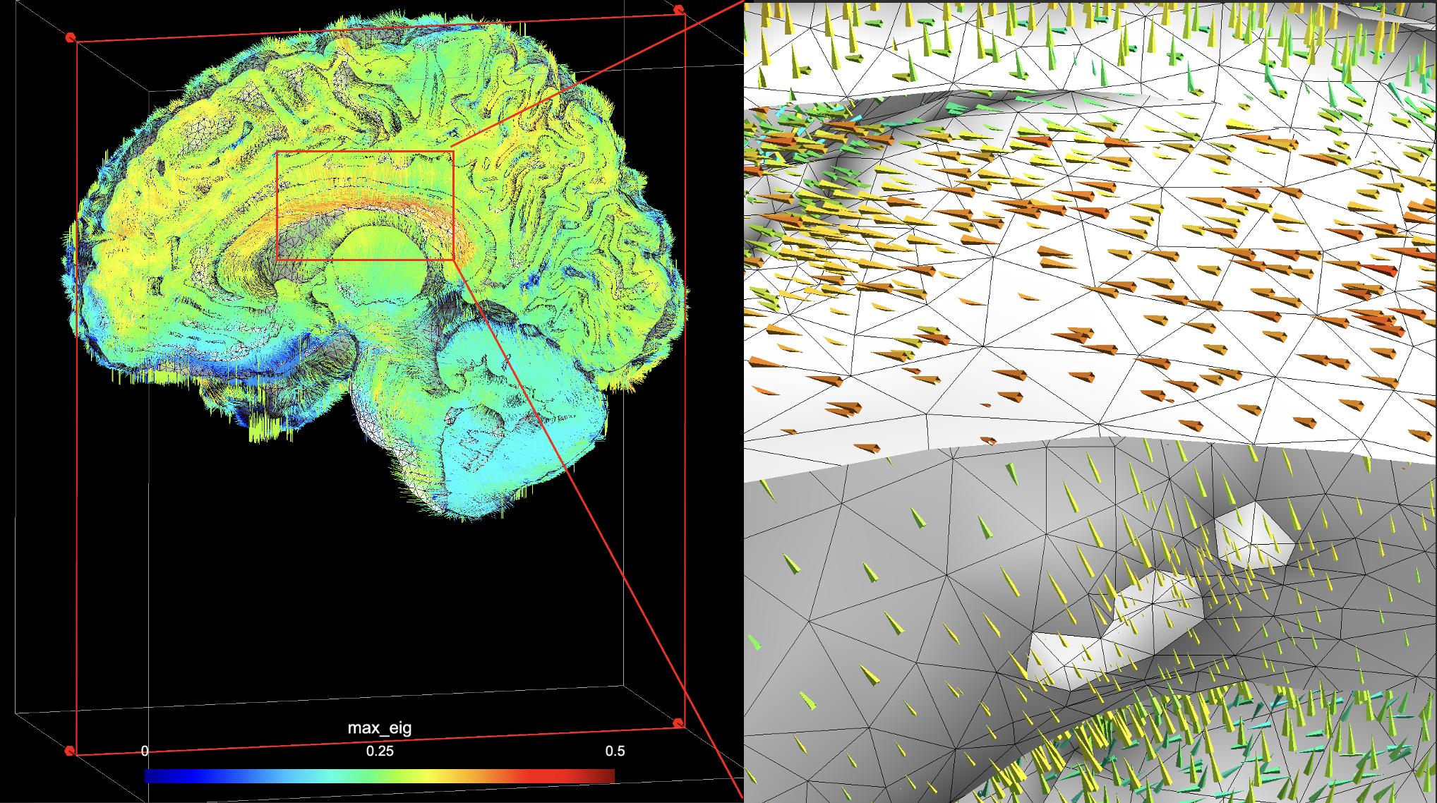 DTI Eigen Vectors - Corpus Callosum