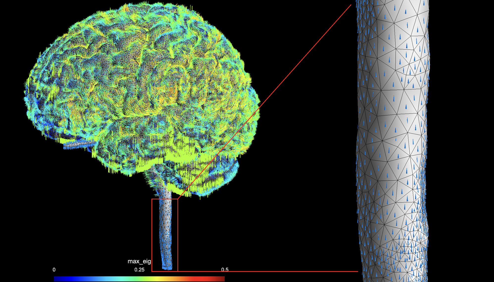 DTI Eigen Vectors - Spinal Cord