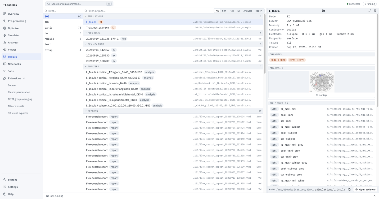The Results page: subject 101 selected, its simulations, flex and ex runs, analyses and reports listed, and the L_Insula simulation's details, montage figure and field files in the preview pane