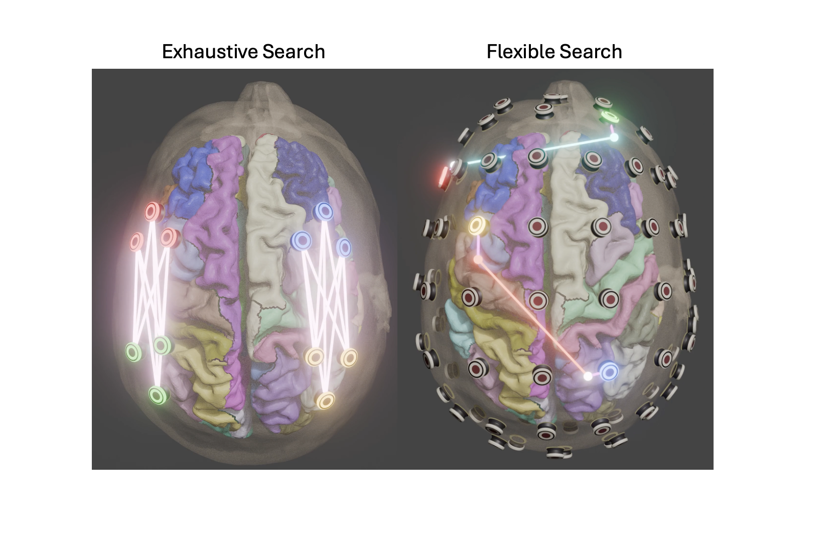 Search & Optimization