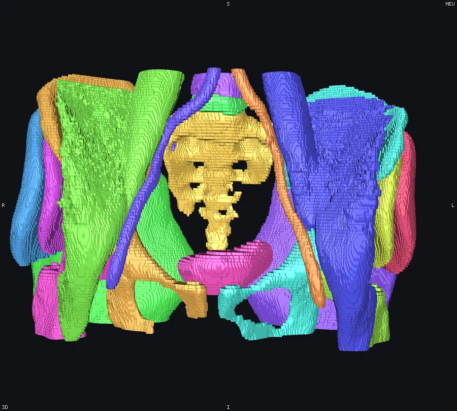Pelvic structures as surfaces