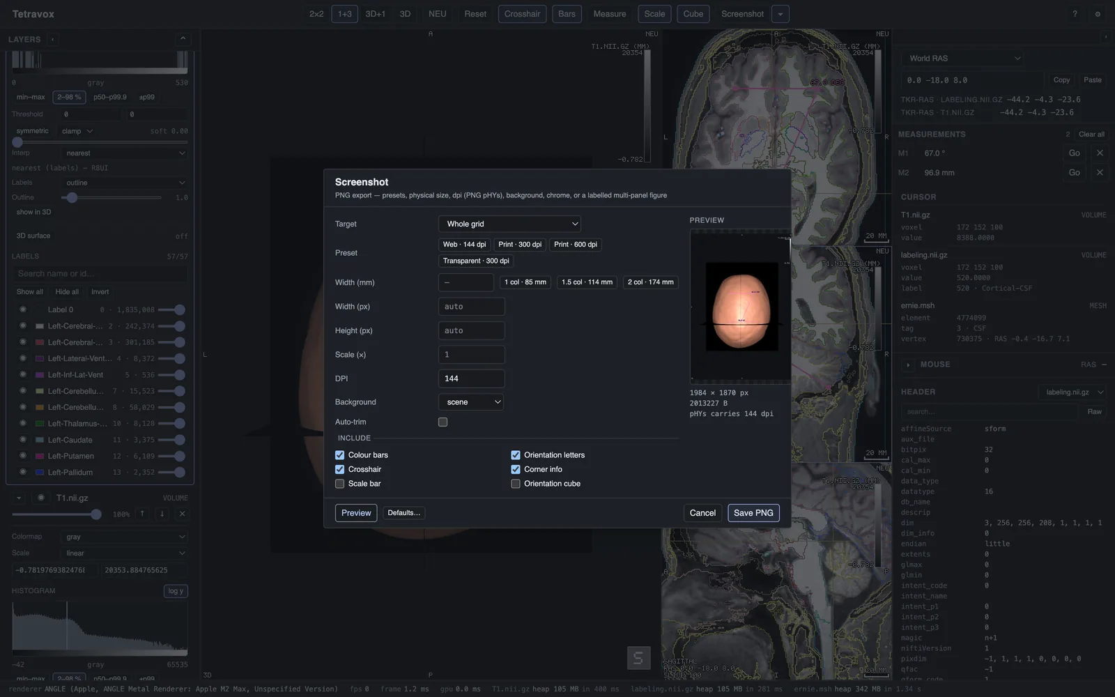 The screenshot export dialog